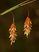 IMG_0497