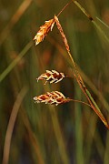IMG_1415