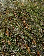 IMG_4549