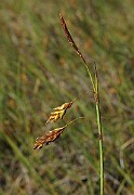 IMG_4553