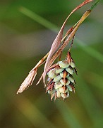 IMG_0597