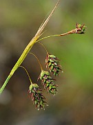 IMG_6644