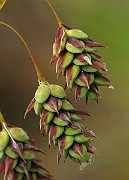 IMG_6644b