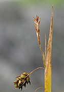 IMG_6646