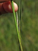 IMG_8610