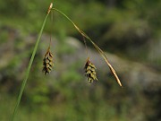 IMG_8611