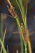 IMG_1406