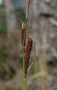IMG_4589