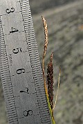 IMG_4597