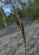 IMG_4601