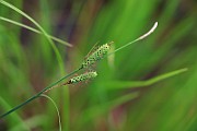 IMG_0719