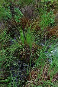 IMG_0720