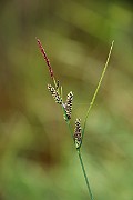 IMG_0721