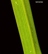IMG_1383