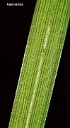IMG_1386