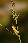 IMG_1434