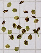 IMG_1501