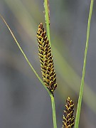 IMG_6674