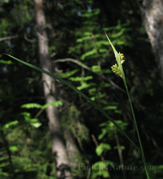 IMG_3354.jpg