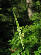 IMG_3355
