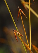 IMG_1402