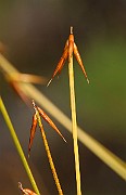 IMG_1404
