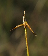 IMG_4563