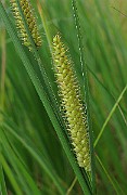IMG_1865