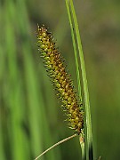 IMG_7615
