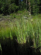 IMG_7621