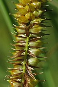 IMG_7672
