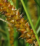IMG_7673b