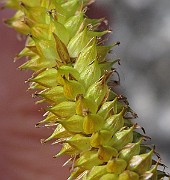 IMG_8622