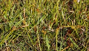 IMG_9965