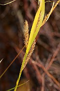 IMG_0574