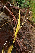 IMG_0575