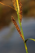 IMG_0578