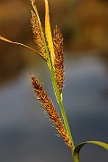 IMG_0579