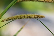IMG_1132