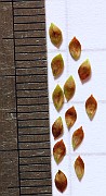 IMG_7189