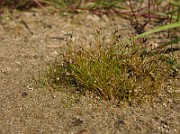 IMG_2575