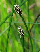 IMG_4169