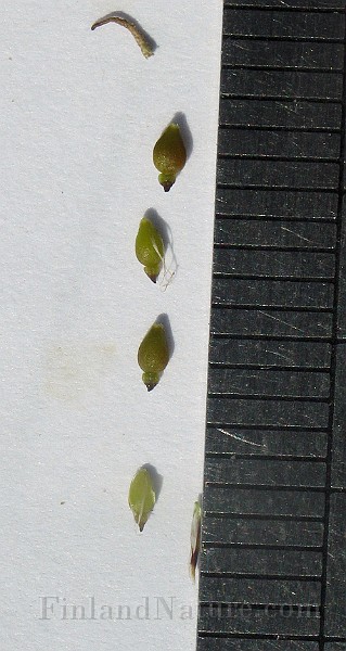 IMG_4517.jpg