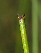 IMG_9704