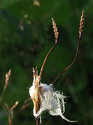 IMG_2315