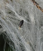 IMG_2319