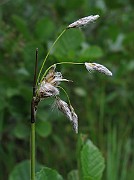 IMG_2580