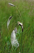 IMG_2581