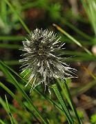 IMG_4040