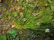 IMG_4043